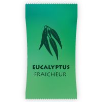 parfum pour spa gonflable eucalyptus